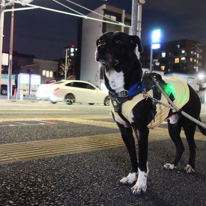 Eefeb656 f3e7 4392 8276 d901f37bc18e 1646132581927