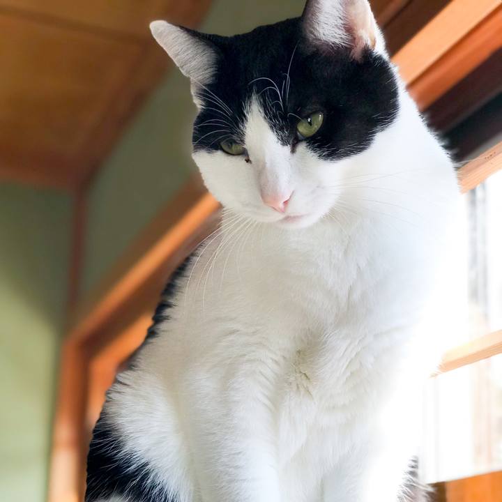 Eefeca58 f286 4fe8 9277 ca63d8612b87 1515023819756