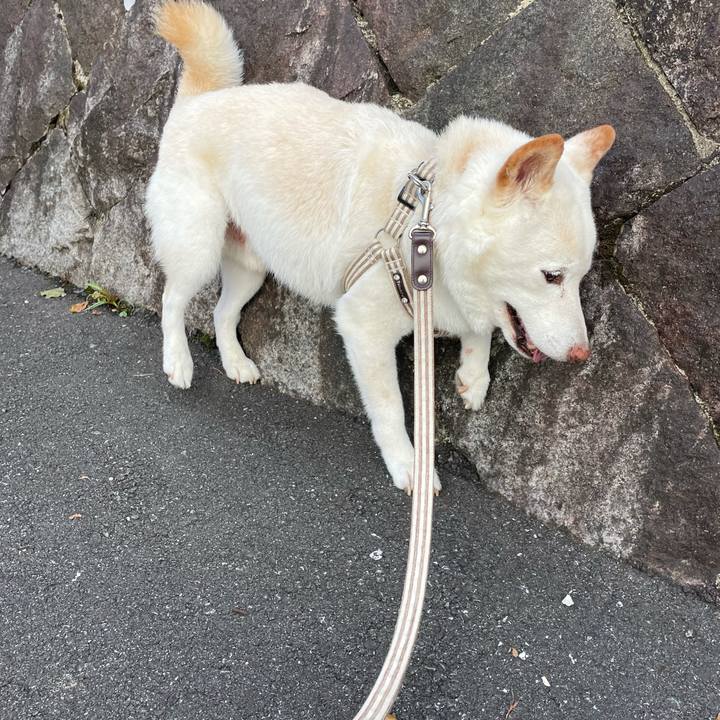 Eefef7aa 6220 44f3 91ae f0f6766a1701 1634262660931