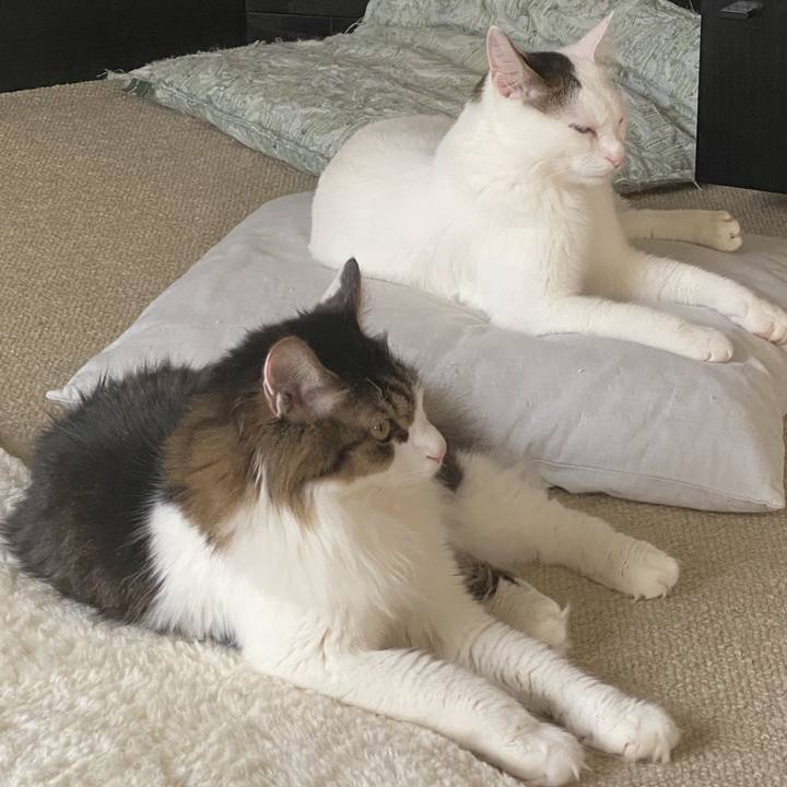 Eeff1315 0675 4a5f b366 15e9e815aa55 1692937591585