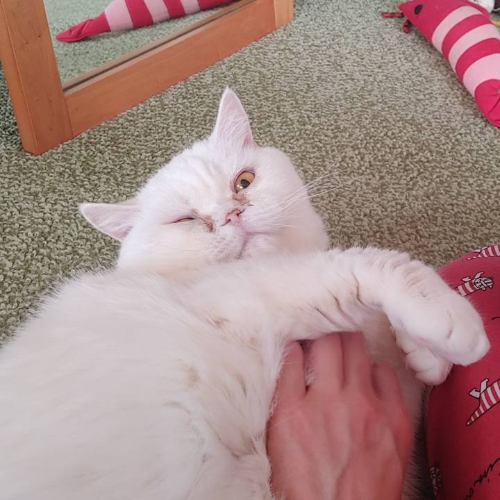 Eeff241d 56ee 48c2 a0ad 430269bf429c 1769399310505