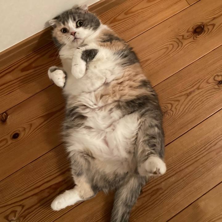 Eeff2b4a fd7a 4136 ab35 3b184790066b 1616057446876