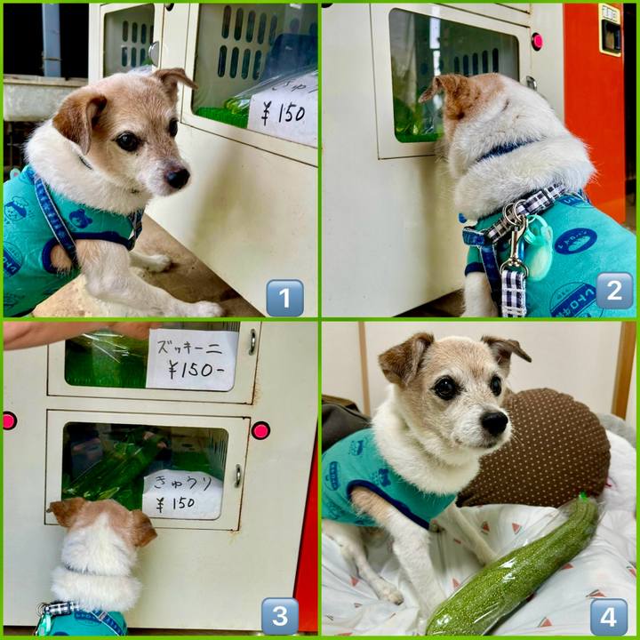 Eeff3419 420b 4881 8384 83c5d3f8d690 1751408704764