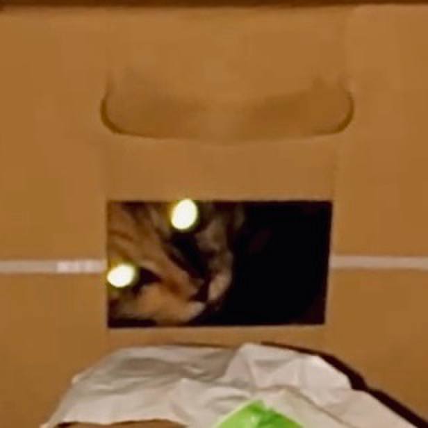 Eeff5543 4b32 4606 acc3 58f7b4a3ea40 1729884163567