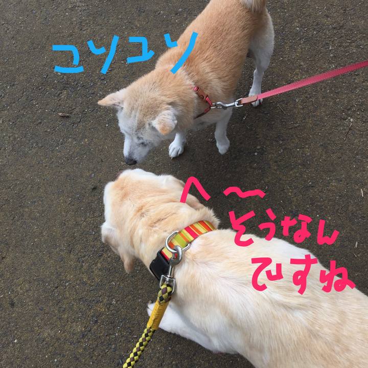 Eeff7da6 d4fa 4ec4 a481 673c54064174 1557644162670