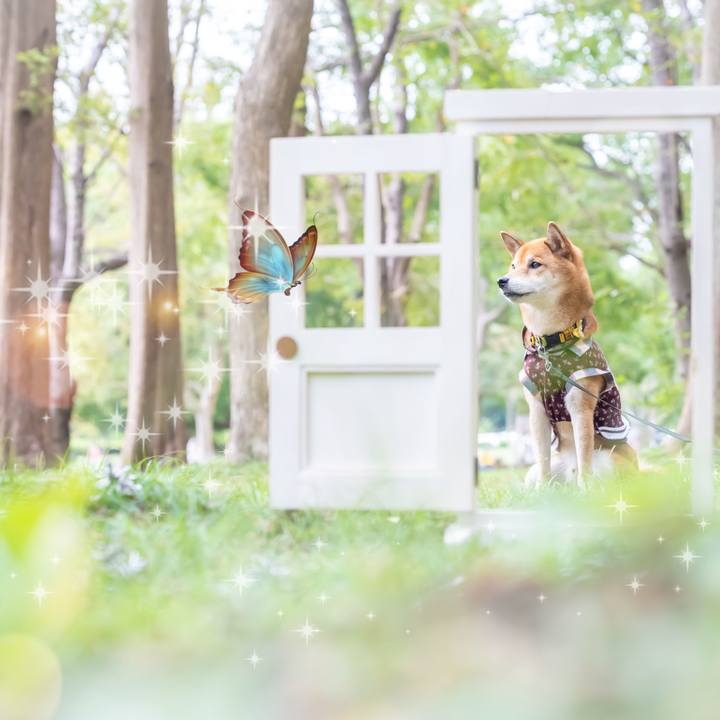 Eeff87b3 e41b 45eb 9dd8 9037114634bd 1603717308091