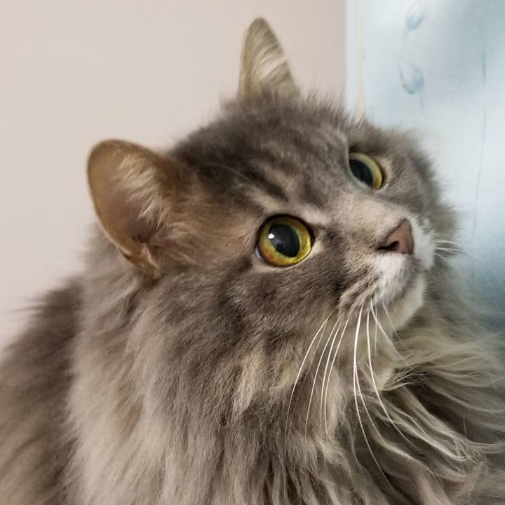 Eeffd322 242d 43f5 a7a8 ea8d7042588d 1554336793648