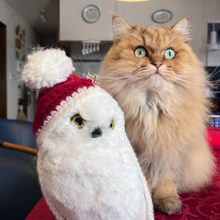 Eeffd963 b960 4154 ae7d 68311200c20b 1671942873499