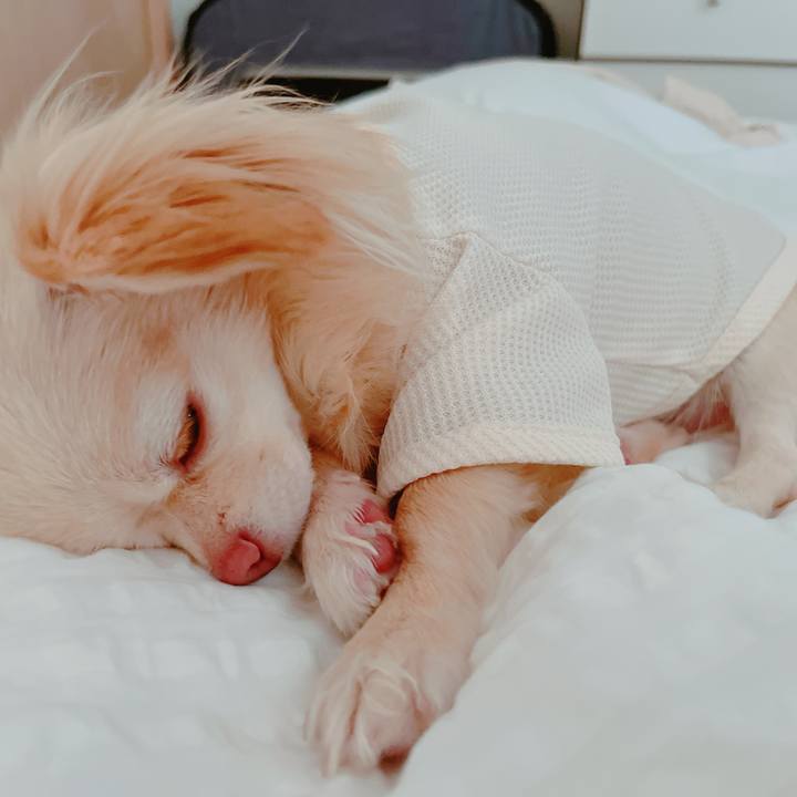 Eeffde82 7f2f 4a63 9cea cb03487f99f7 1651974826294