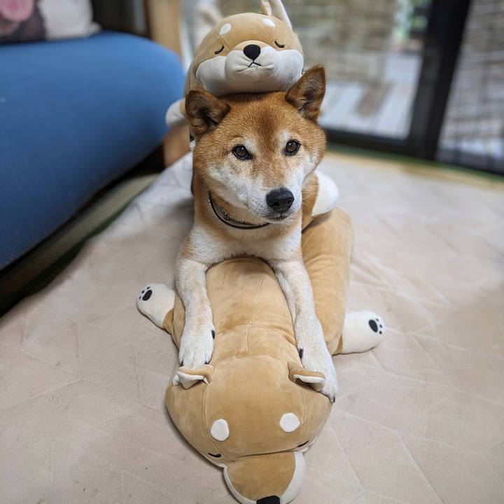 Ef0002a4 c041 4e1a be6b 592bf6d1c564 1717143764081