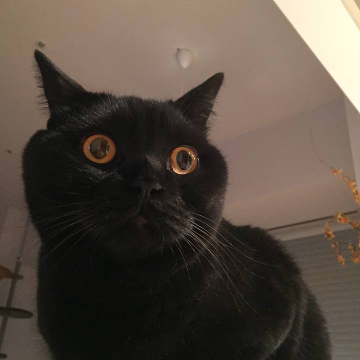 Ef000a34 589f 4855 8664 d54d644b71ac 1539432592556