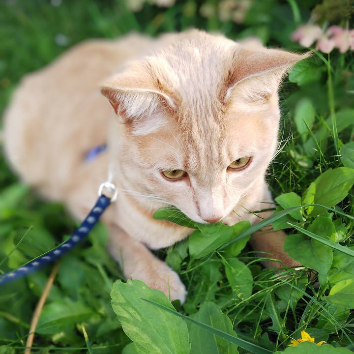 Ef000d31 170b 4bc4 b046 eac80d0c33fb 1567984082882