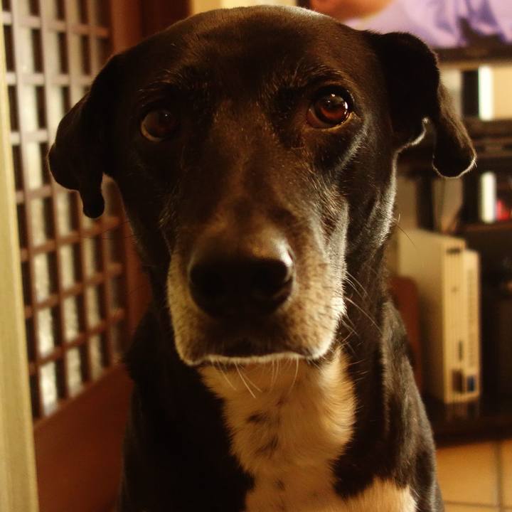 Ef001892 24a8 4ec1 ba79 087292b0444f 1734607060852