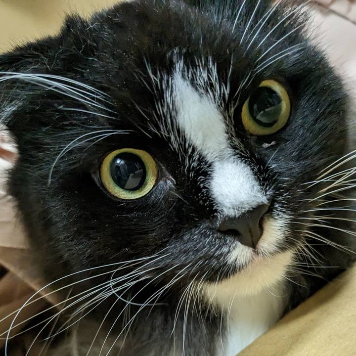 Ef001d06 3d6d 468d 880e 2ce856d1fe95 1695481641233