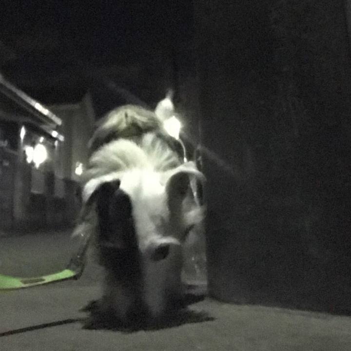 Ef0020b3 9ed3 4879 80d9 f95c3c3bf01f 1544702948825