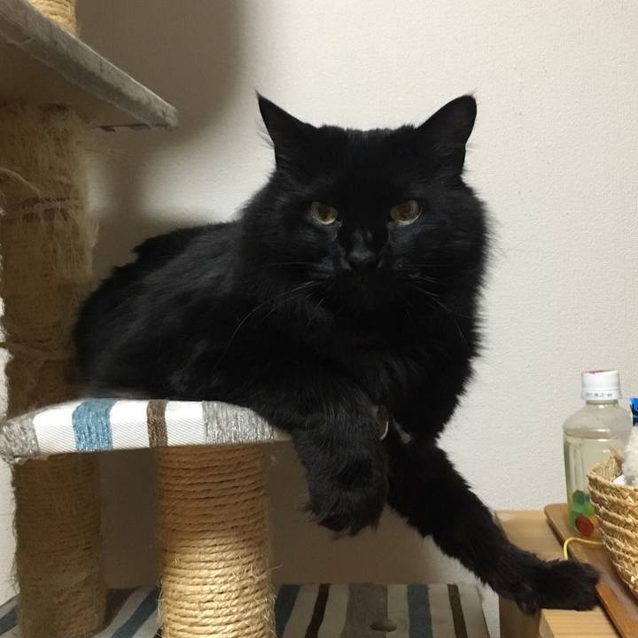 Ef0040d3 591a 48ba adee 536df03164a7 1528123128448