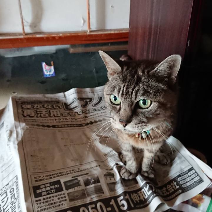 Ef004b5d c0b8 41e6 af4a 9c6a84b347dd 1568862961386