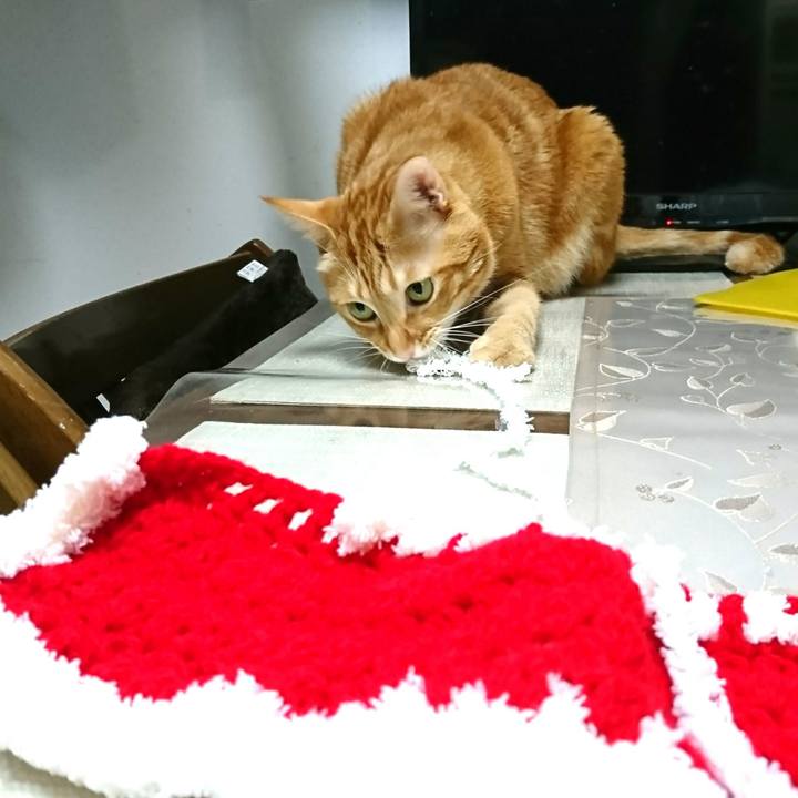 Ef005690 0150 4901 a5af ab3a0b2849ea 1542322461559