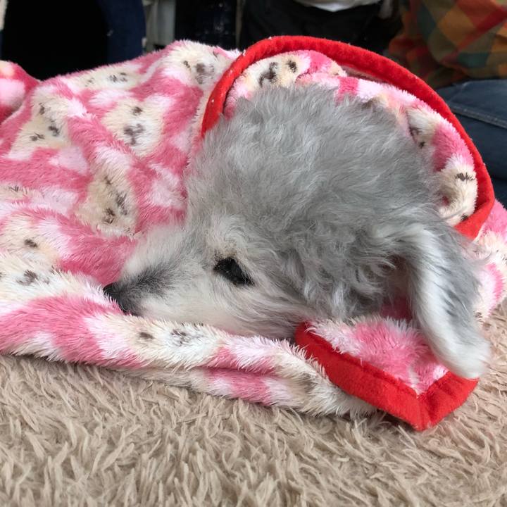 Ef0061a9 3aee 4fa3 af08 562b64b8e8cd 1585571634715