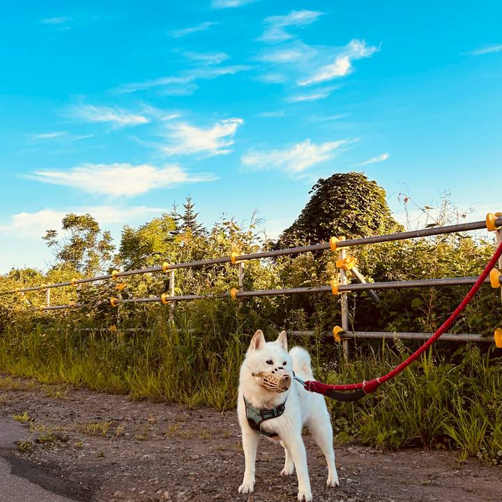 Ef0096dc 05b3 48fd a682 00b8f942710d 1755291677614