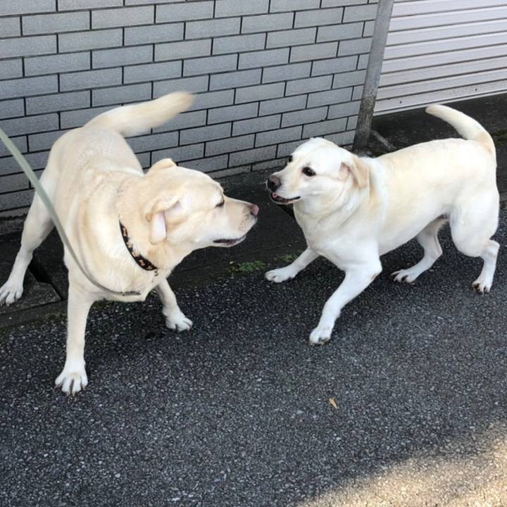 Ef0099fe 6f6a 4b96 a82c 0ad2d6d9f858 1602241317748