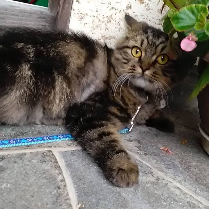 Ef00a327 b042 4867 bb97 bb96263f2359 1596506307456