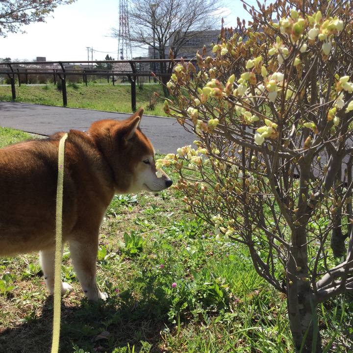 Ef00a3de 9ce0 4989 8403 8e043458d023 1616490690829