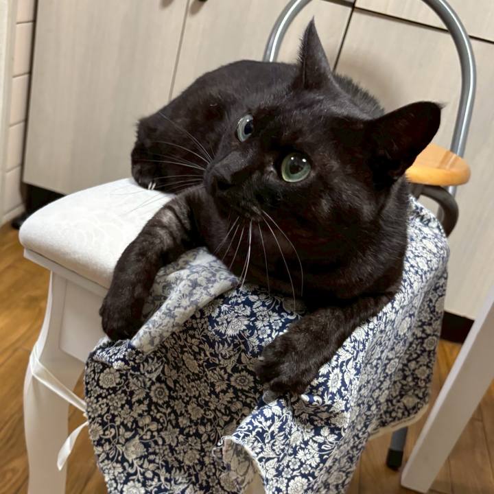 Ef00a7cc 0141 4850 9bd2 0db6b8d4a53e 1755042238024