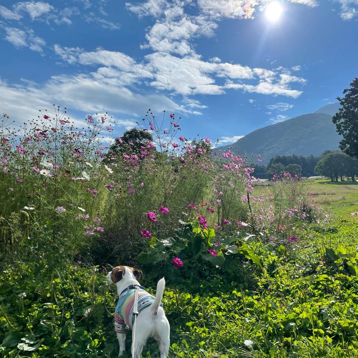 Ef00bfee ef55 4542 a128 cc404ab45b03 1632894202956