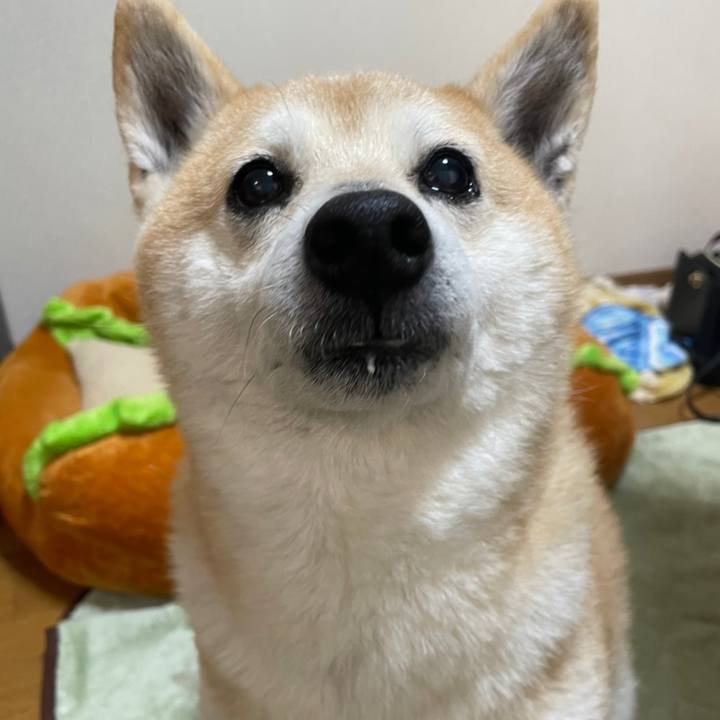 Ef00c100 611f 4e52 be80 ac0f8ee77626 1619944831843