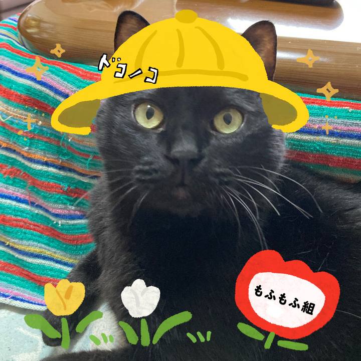 Ef00c6b0 79b6 45b4 9c96 6ca6335aa95a 1712463739526