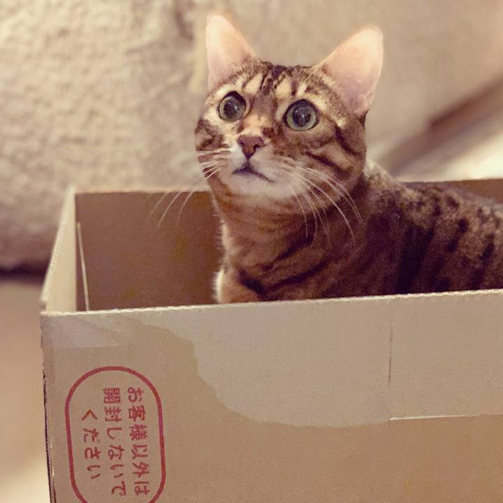 Ef00c8b3 4e67 4d7c 8aa8 be86514b9b39 1611446786653