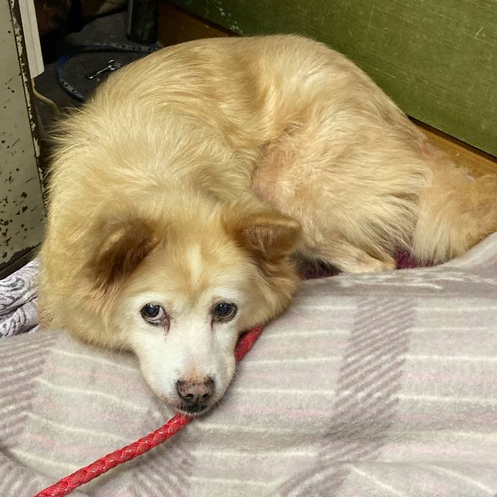 Ef0141b6 d60a 436a 97f7 b17f5ee595e6 1668638410308