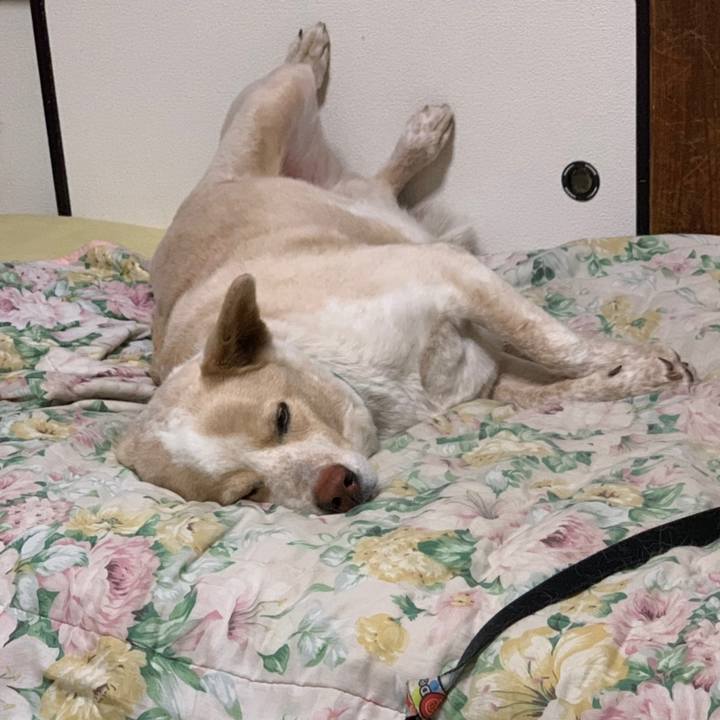 Ef01421c de77 4ef4 88d4 15088cd68f87 1558268547618