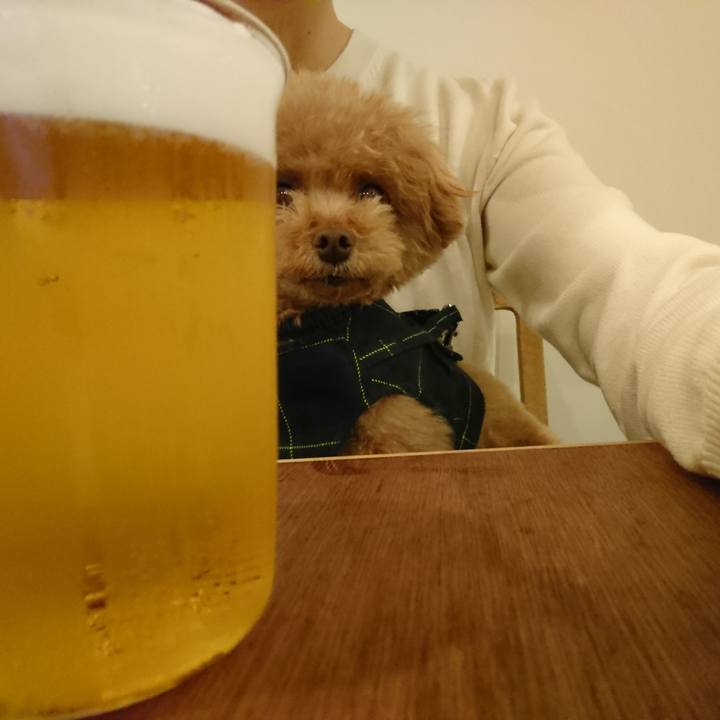 Ef0151dc 610c 4b8a b46c 31d7a83a4f8a 1521112410999