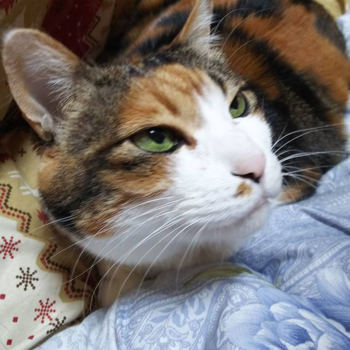 Ef0192c6 d2ea 41a2 b391 62bca88b3f89 1552180264618