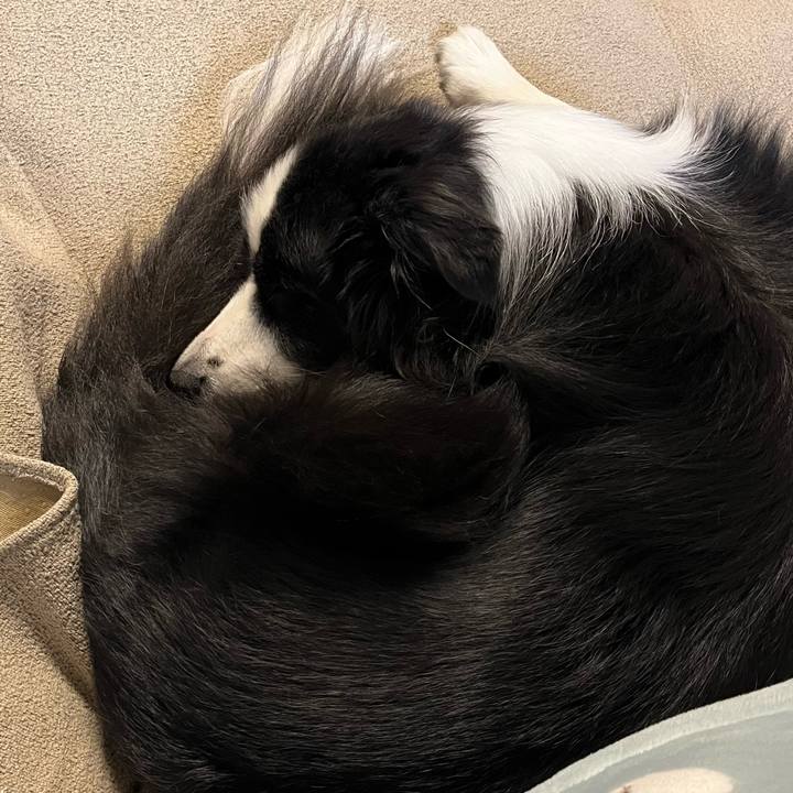 Ef01adb8 bd91 4f94 8bdb 0dd6a8c7dab2 1760110915214