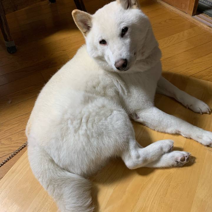 Ef01c7dd 9596 4ee9 a360 6913b9ca4a76 1574378668596