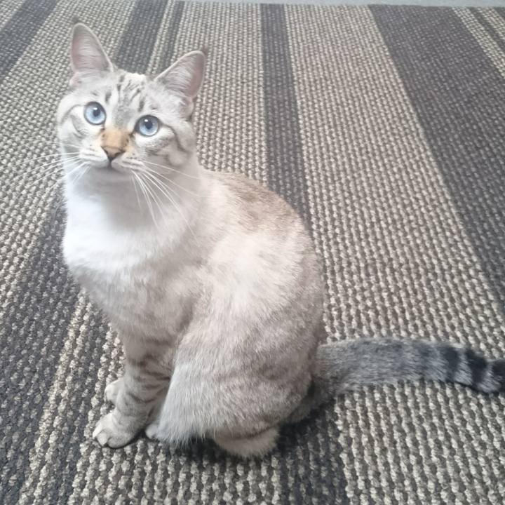 Ef01e8bc 3ccb 4358 a6cc 927243e5cb67 1508858107769