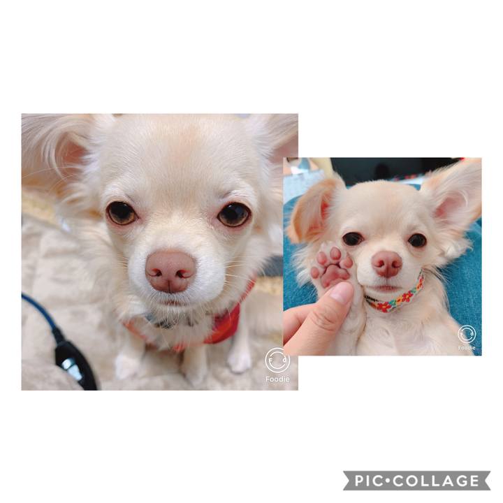 Ef0204ae 274e 4e5a 8a08 af13b7ce777f 1606214166649