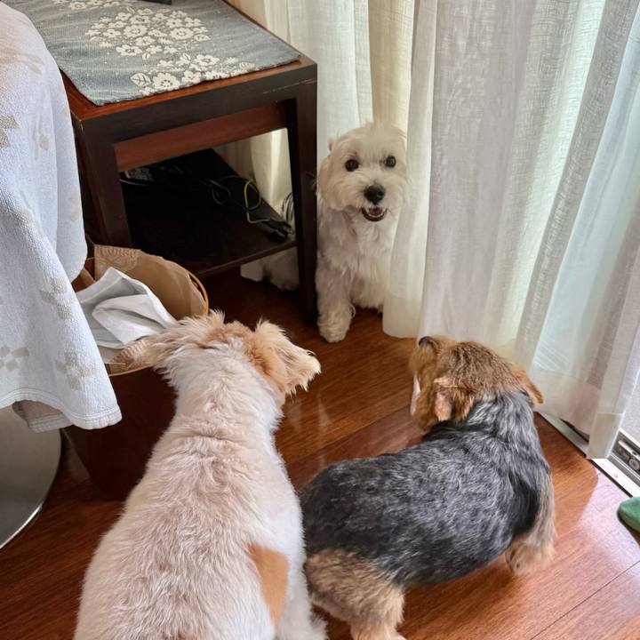 Ef020d7a e377 4046 8cf5 e62d006ffce8 1763173397014