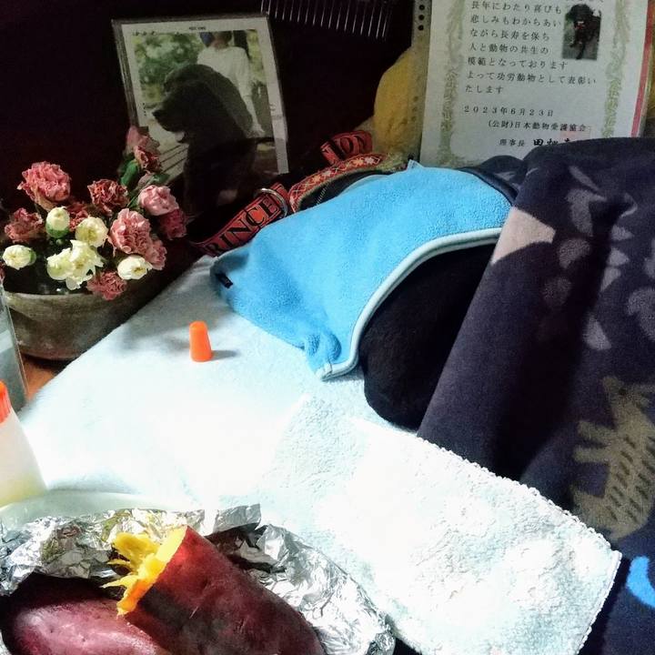 Ef02190c 624a 42f5 ba19 0365fee2ccbb 1741154442634