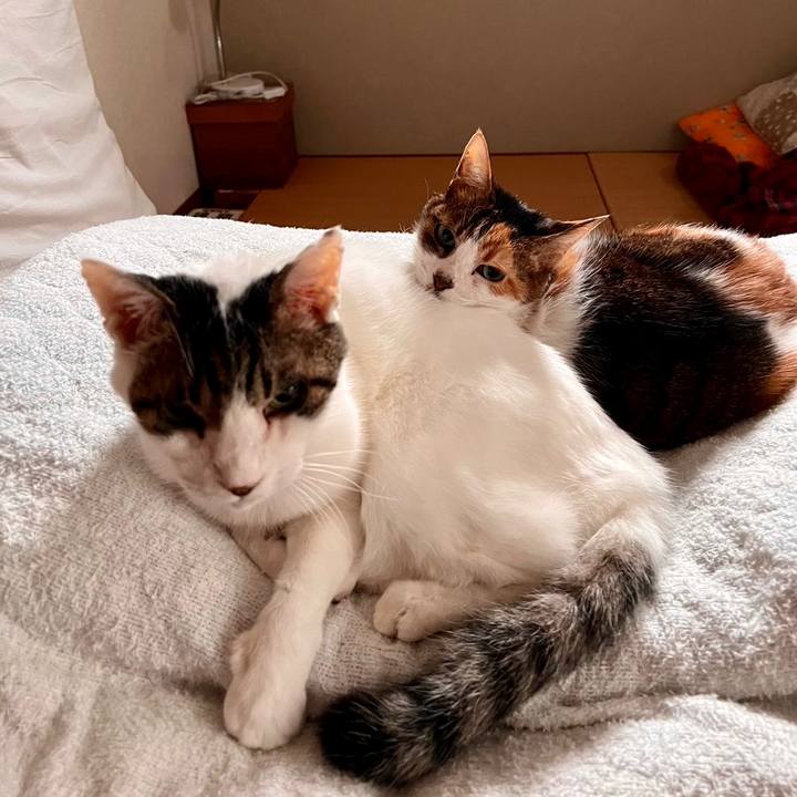 Ef021943 2a58 4f71 92a7 8a654b4d10db 1699612452980