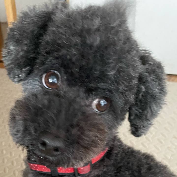 Ef022562 f19c 418f 93bf ae51671f3094 1745125068177