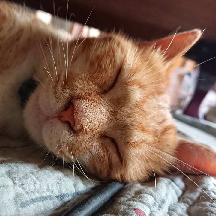 Ef023dbe 71b7 421f bdf0 722b74faf20a 1565499349123