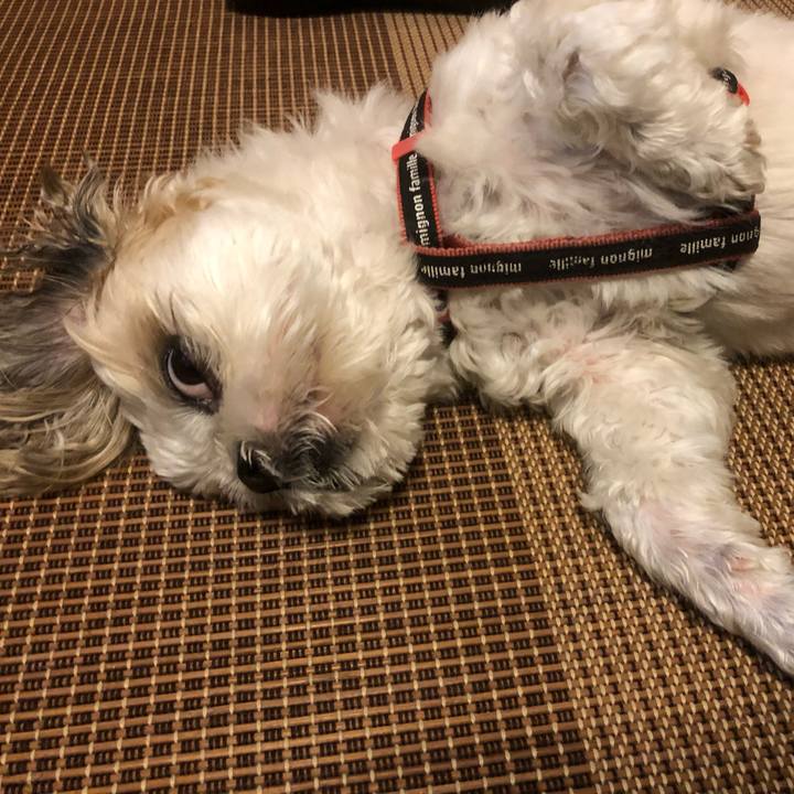 Ef024b58 6934 41af a72c 621cca65415b 1624571410902