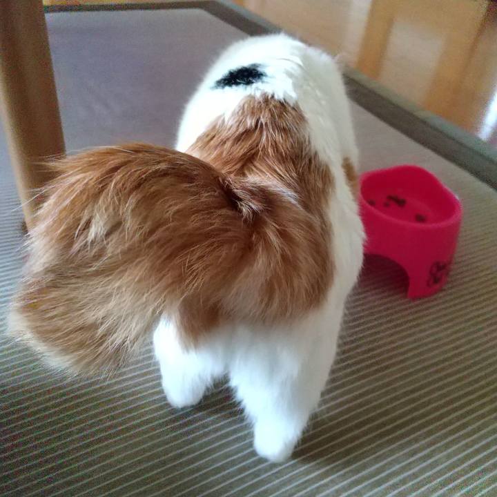 Ef025f73 9bbe 4f9f a841 94dcd3f15468 1593991907594