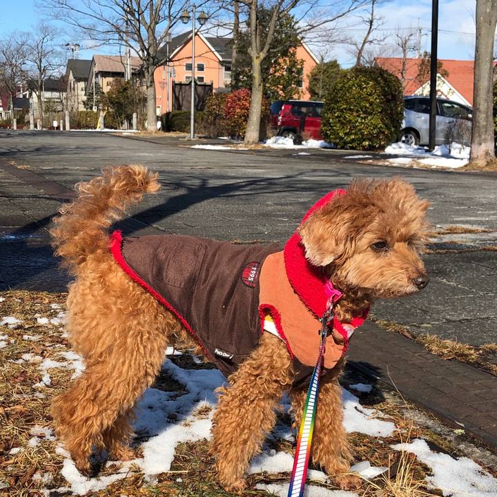 Ef026794 e11a 453f b5a2 b45dc3692ecc 1548556960294