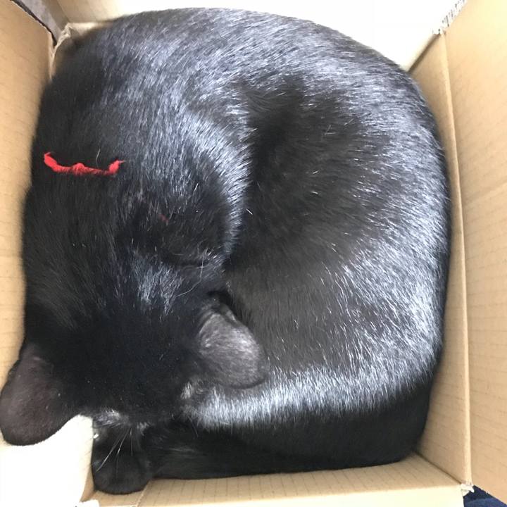 Ef026a66 a1c3 44c0 8273 0b6c08988897 1528299494528