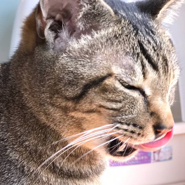 Ef0285b1 a094 4db7 a30b 1d8102e9e9ca 1526262066540